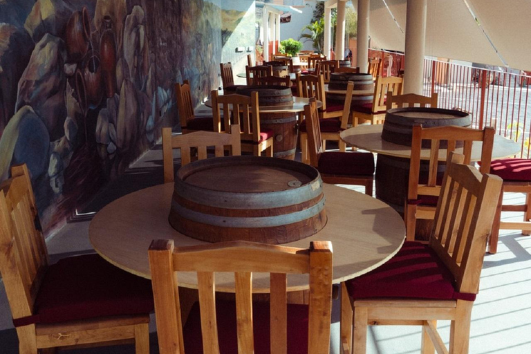 From La Playa: Vineyard Tour w/ Tasting & Todos Santos Stop