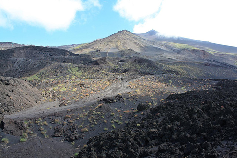 Desde Mesina Excursión de un Día al Volcán Etna, Bodegas y TaorminaExcursión de un día al Volcán Etna, Bodegas y Taormina desde Mesina