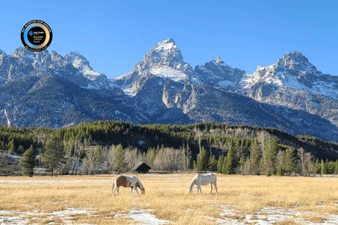 Bozeman: Yellowstone & Grand Teton National Park with Hotel Shared Tour