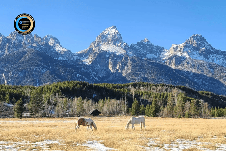 Bozeman: Yellowstone & Grand Teton National Park with Hotel Shared Tour