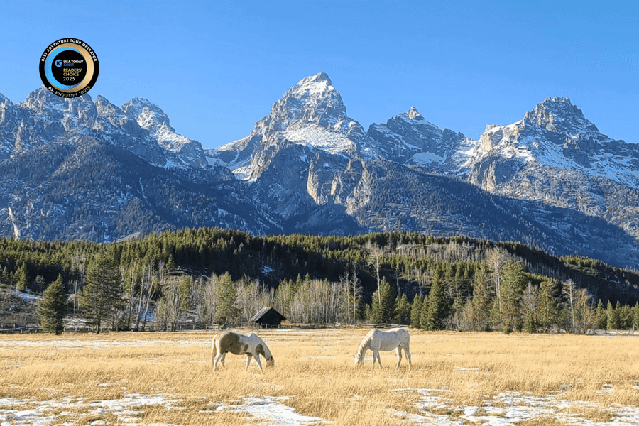 Bozeman: Yellowstone & Grand Teton National Park mit Hotel. Foto: GetYourGuide Bozeman: Yellowstone & Grand Teton National Park mit Hotel. Foto: GetYourGuide