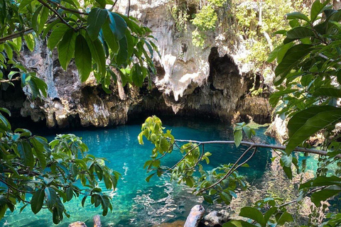 Zanzibar: Jozani Forest, Maalum Cave & Mtende Beach Tour Private Tour with Hotel Pickup (South Zanzibar Only)