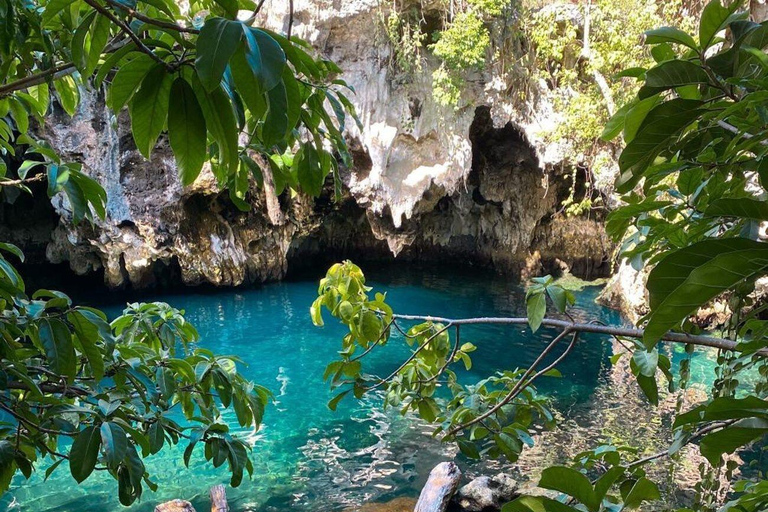 Zanzibar: Jozani Forest, Maalum Cave & Mtende Beach Tour Private Tour with Hotel Pickup (South Zanzibar Only)