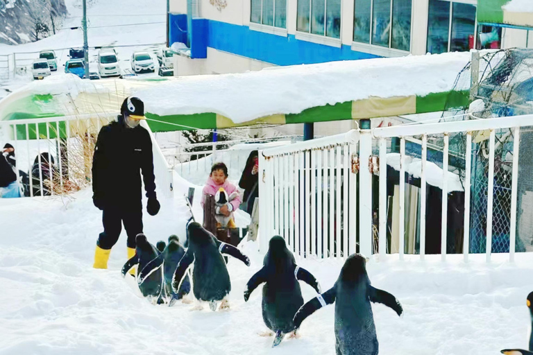 Sapporo: Excursión de un día a Bibai Snowland, Otaru y la Fábrica de Chocolate8:10 Reunión en la Torre de TV de Sapporo