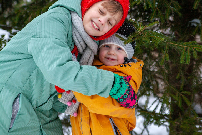 Las Vegas: l&#039;avventura di tagliare il tuo albero di NataleLas Vegas: diga di Hoover, città fantasma del West e cliff jumping