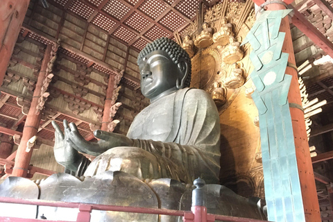 Nara: Full-Day Private Guided Tour