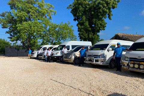 Translado privado do aeroporto: Aeroporto de Punta Cana para o Hotel