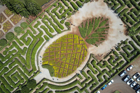 Oahu: Haleiwa &amp; Dole Plantation Deluxe Tour