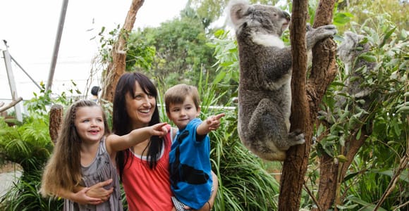 WILD LIFE Sydney Zoo