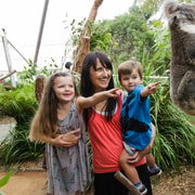 WILD LIFE Sydney Zoo