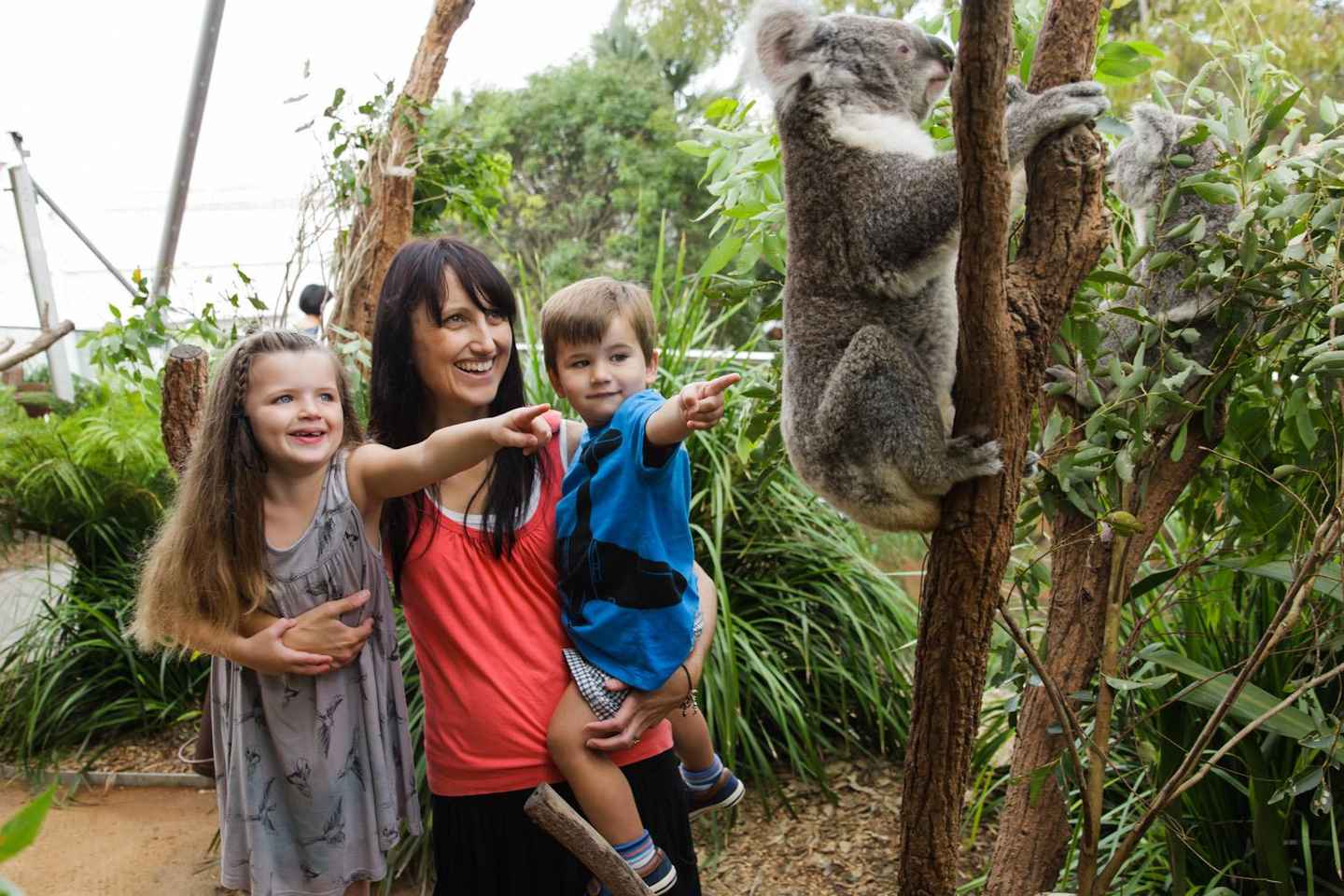 WILD LIFE Sydney Zoo - Same Day: WILD LIFE Sydney - Bookings for Today