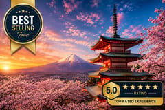 Ganztägige Luxus-Tour von Tokio zum Berg Fuji