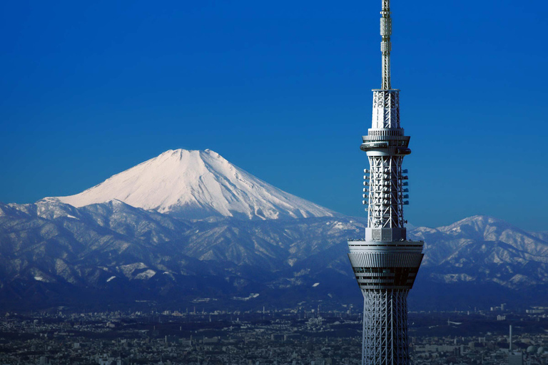 Tokyo: Private City Highlights Tour with Guide