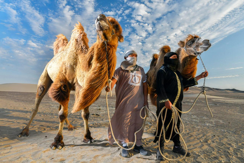 Paracas & Ica: 2-Day Tour with Huacachina and Camel Ride