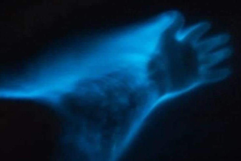 Huatulco: Tour Bio y Liberación