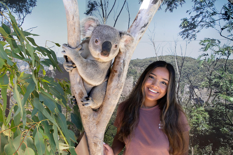 Blue Mountains: Mundo cênico, balsa, zoológico e foto de coala