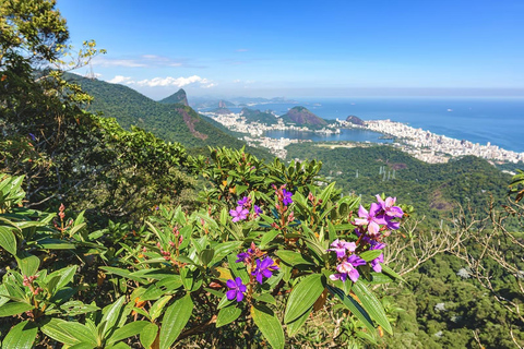 Rio de Janeiro: Tijuca National Park & Botanic Garden Tour