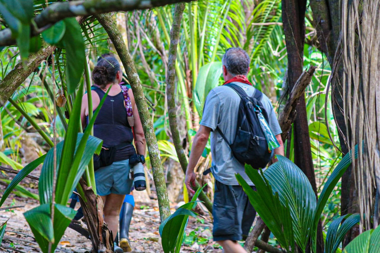 Uvita: Corcovado Rainforest & Wildlife Adventure