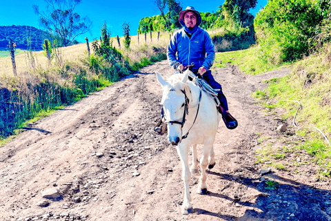 Avontuur te paard in het hart van de Ecuadoraanse Andes