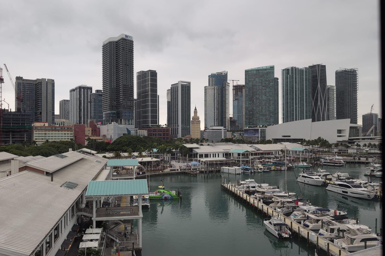 Miami Combo: Everglades Adventure and Sightseeing Tour Combo - Downtown Miami pickup