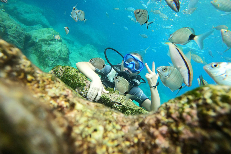 Antalya & Kemer: 2 Dives Scuba Diving Tour with Lunch Tour with transfer from Antalya