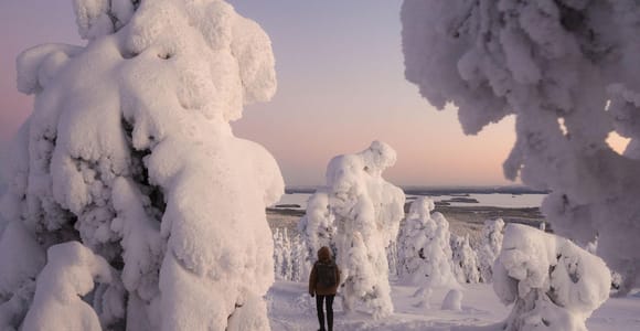 ⭐Rovaniemi: Riisitunturi Snow Monsters Tour & Campfire BBQ