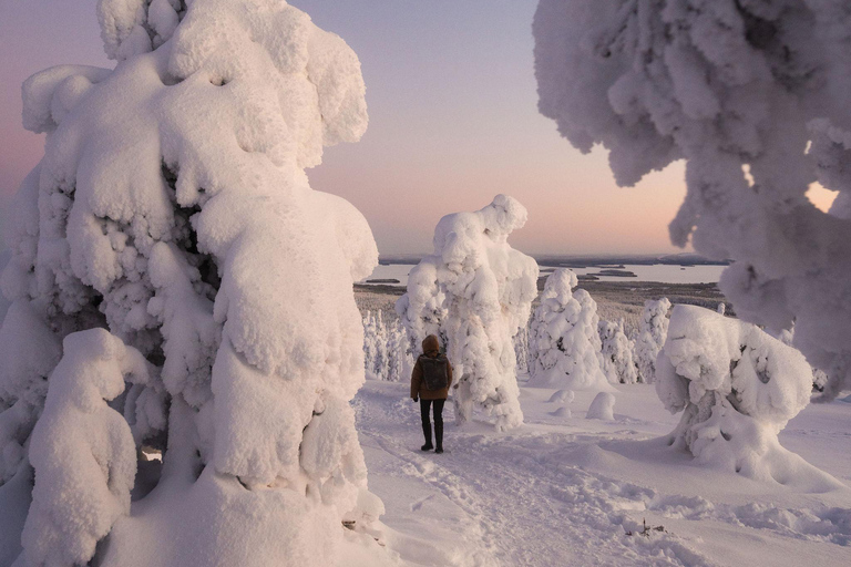 Rovaniemi: Riisitunturi Snow Monsters Tour & Campfire BBQ