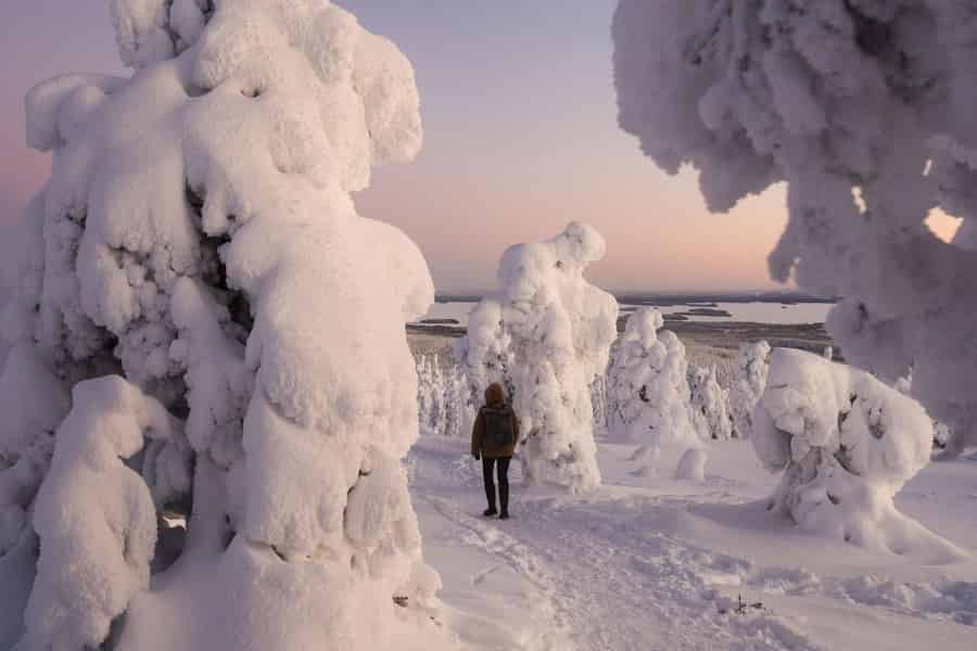 Rovaniemi: Riisitunturi-Schneemonster-Tour & Lagerfeuer-Barbecue. Foto: GetYourGuide