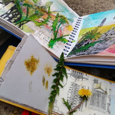 Maidstone: Mote Park Nature Walk and Drawing Workshop