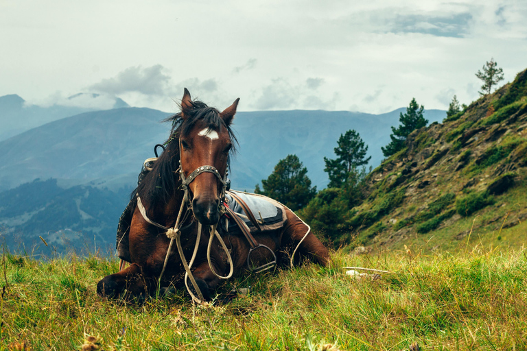 1 giorno di avventura a cavallo nei monti Borjomi1 giorno di avventura a cavallo nel Parco Nazionale di Borjomi