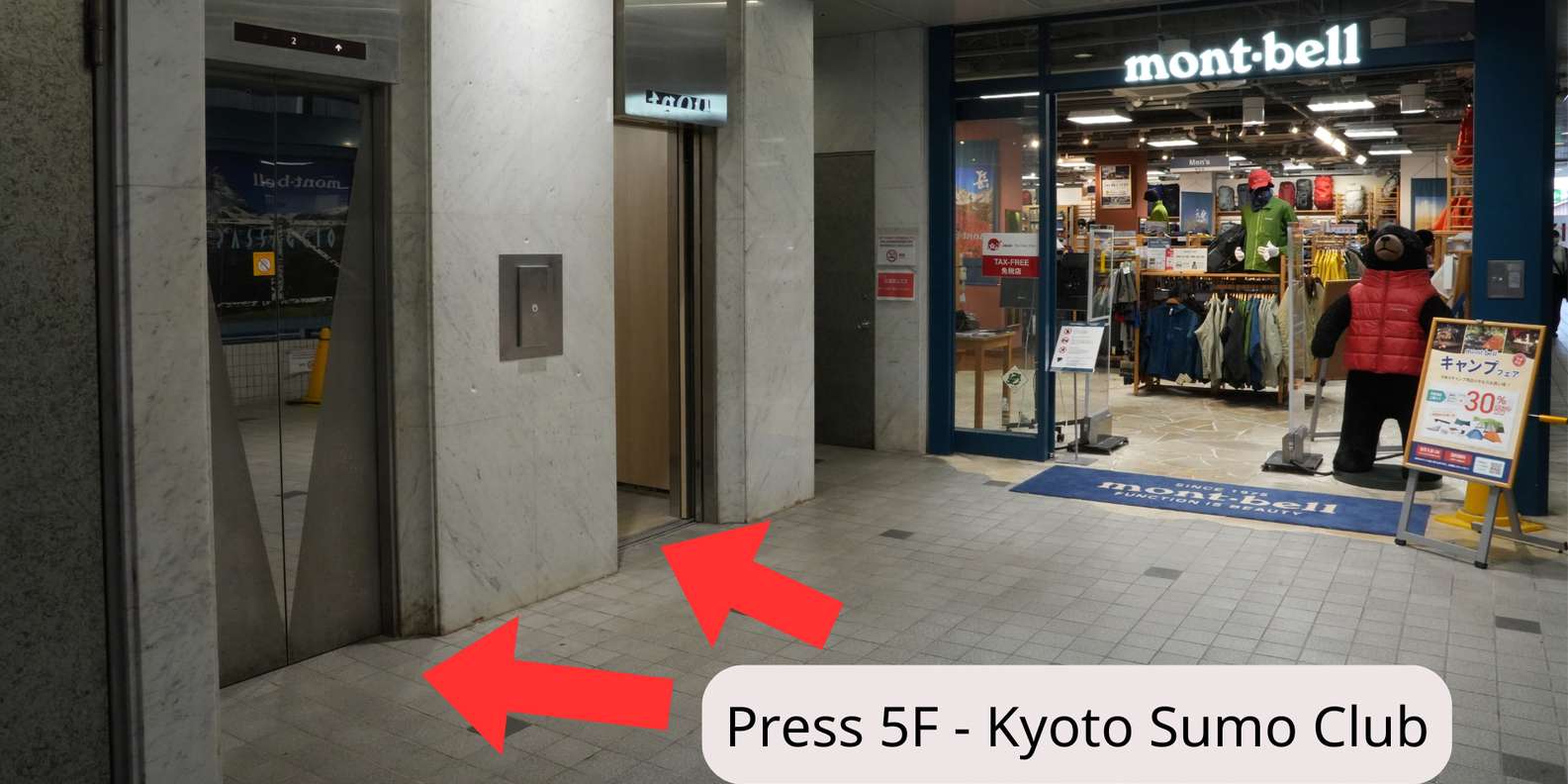 Kyoto experience — temples, geisha, bamboo grove — image 16