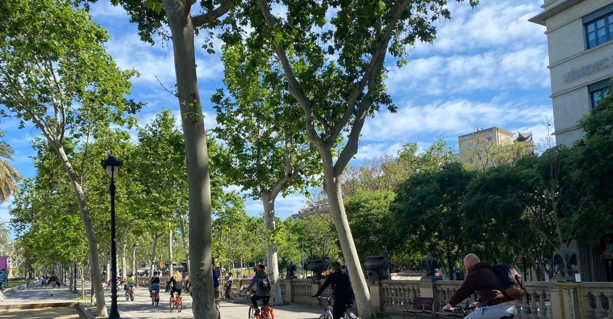 Barcelona: 2.5-Hour Bike or E-Bike Historical Tour photo 14