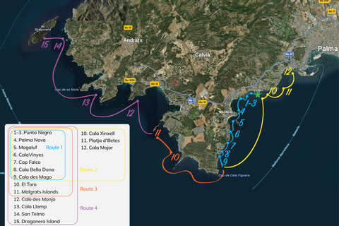 Palma Mallorca : Excursion en bateau privé avec jouets aquatiques