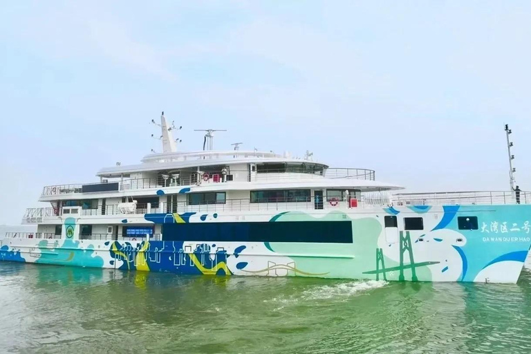 Shenzhen: Shekou Cruise with Buffet & City Walk with Guide