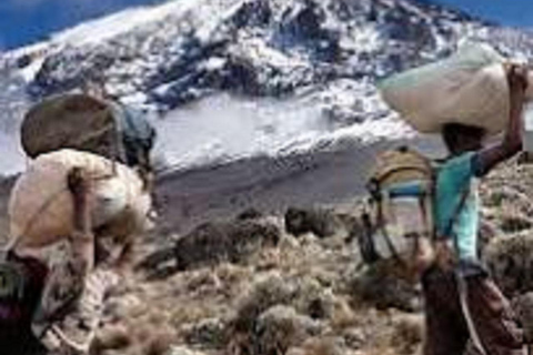 Kilimanjaro Trekking: 9 Days Northern Circuit Route