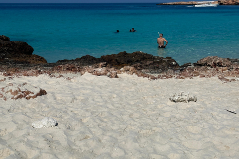 Private Snorkeling Tour - Ad Dimaniyat Islands