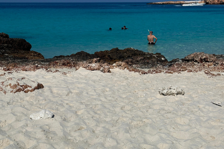 Private Snorkeling Tour - Ad Dimaniyat Islands