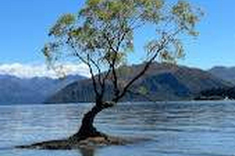 Private Arrowtown, Wanaka & Day Tour from Queenstown,8 Hours Private Tour – 1–3 Pax – 8 Hours