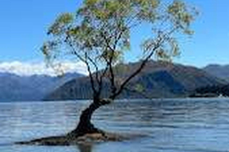 Private Arrowtown, Wanaka & Day Tour from Queenstown,8 Hours Private Tour – 1–3 Pax – 8 Hours