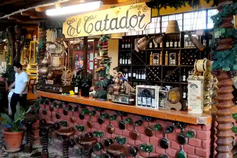 Ica : Visite d'un vignoble avec dégustation de vin et de pisco