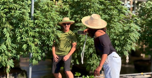 Chiang Mai: Licensed Cannabis Farm & Thai Cooking Class