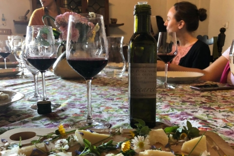 Frascati Wine Road from Rome: Tasting & Lunch
