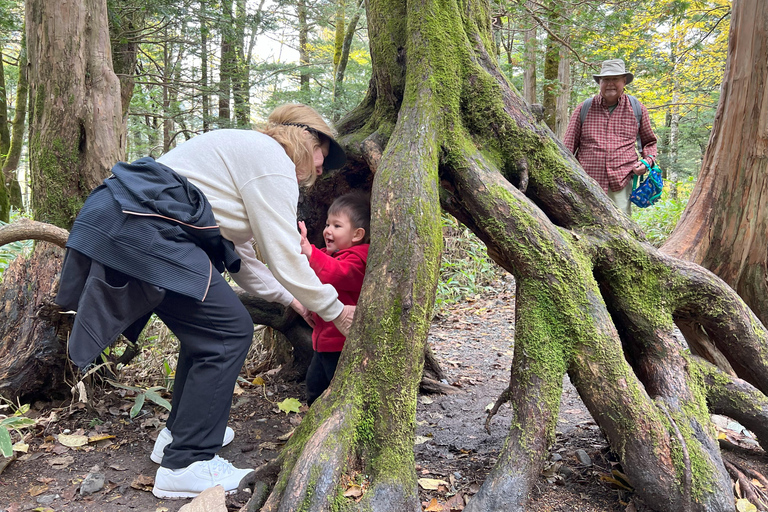 Kurobe Tateyama & Kamikochi autumn 2-day tour from Nagoya
