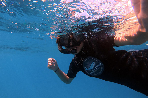 San Jose del Cabo Snorkeling Tour