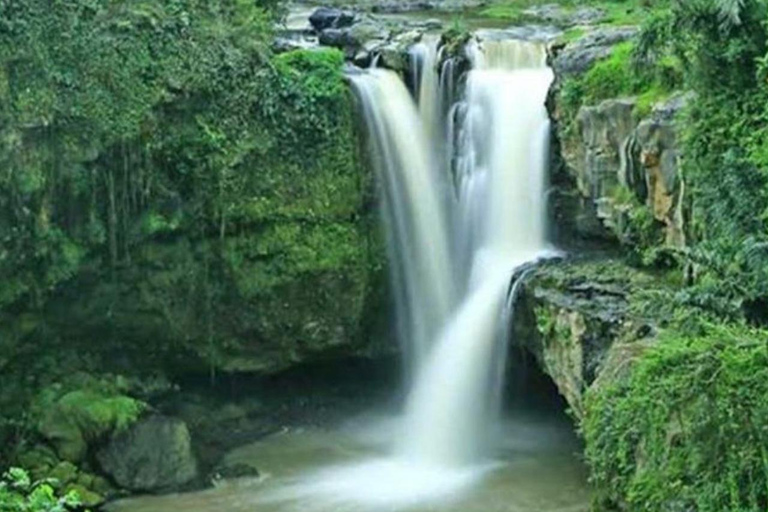 ubud : private tour,atv,rice terrace,waterfalls group of 1-3 person