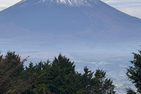 Mount Fuji Or Hakone Private Tour From Tokyo (Customizable) Van ( Toyota Vellfire or Alphard)