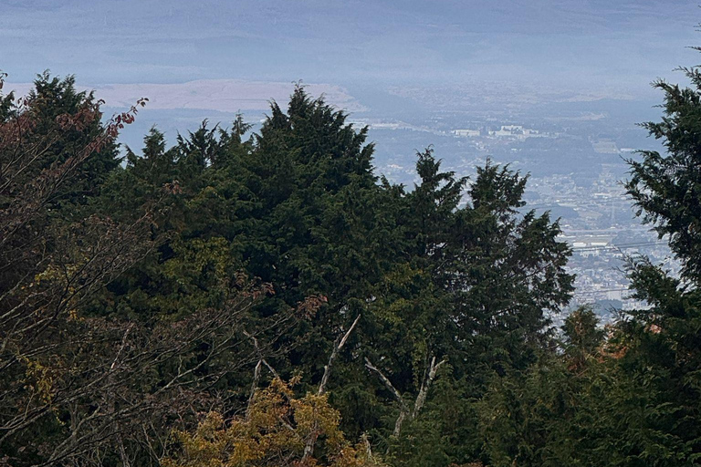 Mount Fuji Or Hakone Private Tour From Tokyo (Customizable) Van ( Toyota Vellfire or Alphard)