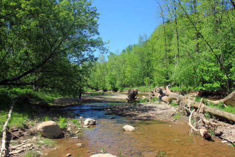 Excursión en autocaravana por el Parque Bronte Creek y a caballo