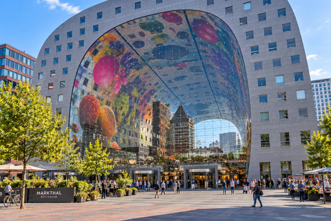 Rotterdam: Bizzare Architecture and Art Walking Tour
