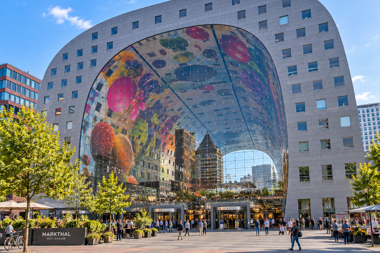 Rotterdam: Bizzare Architecture and Art Walking Tour